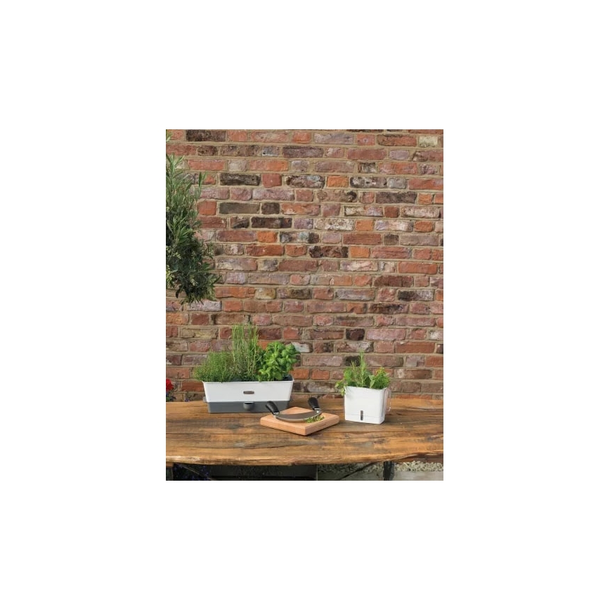 Cole&Mason - Tartály frissen vágott fűszernövények tárolására