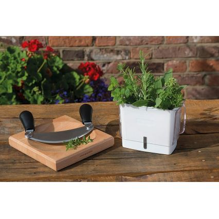 Cole&Mason - Tartály frissen vágott fűszernövények tárolására