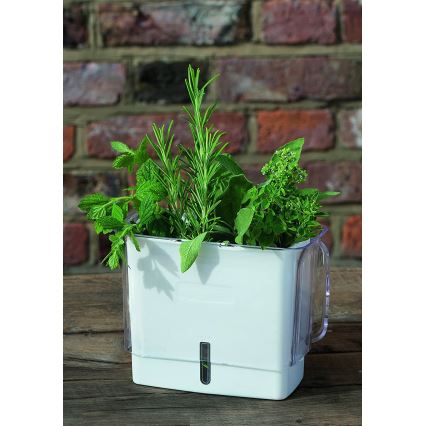 Cole&Mason - Tartály frissen vágott fűszernövények tárolására