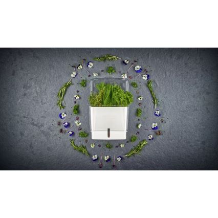 Cole&Mason - Tartály frissen vágott fűszernövények tárolására