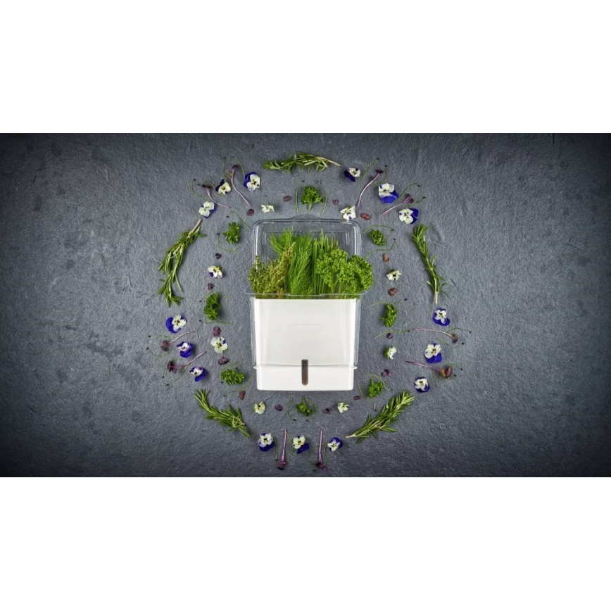 Cole&Mason - Tartály frissen vágott fűszernövények tárolására