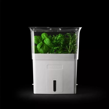 Cole&Mason - Tartály frissen vágott fűszernövények tárolására