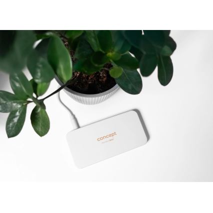 Concept KZ2010 - LED zsebtükör PERFECT SKIN LED/1,5W/5V 4500-5500K 300 mAh fehér