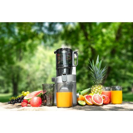 Concept LO7120 - Lassú facsaró JUICY 250W/230V szürke