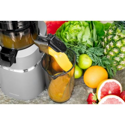 Concept LO7120 - Lassú facsaró JUICY 250W/230V szürke