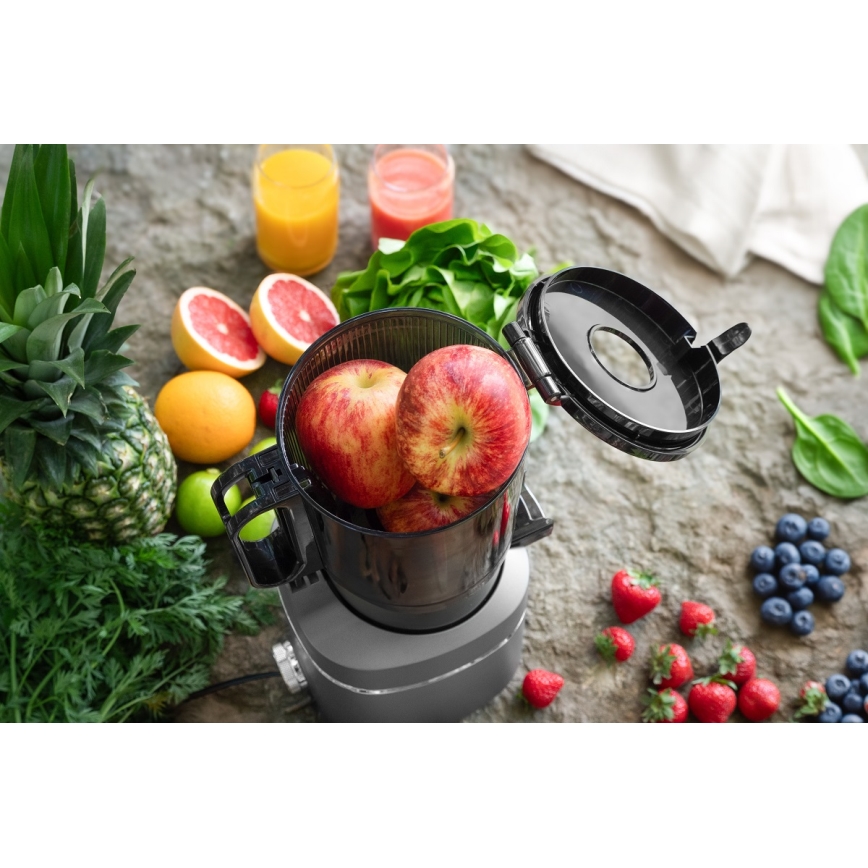 Concept LO7120 - Lassú facsaró JUICY 250W/230V szürke