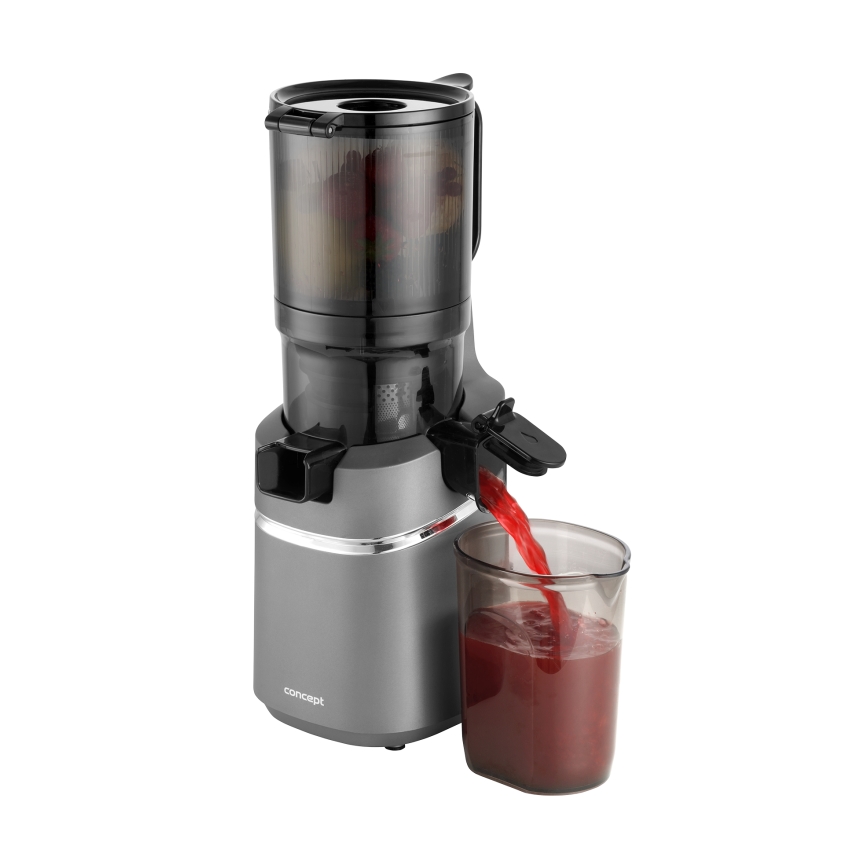 Concept LO7120 - Lassú facsaró JUICY 250W/230V szürke