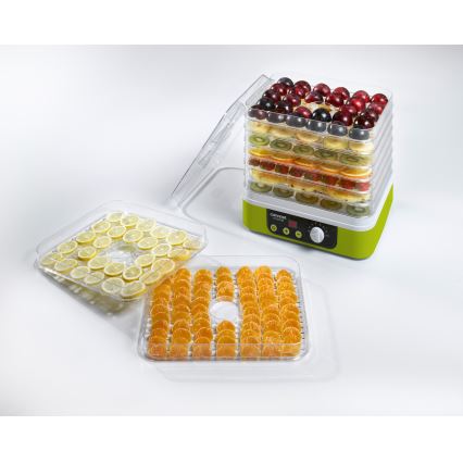 Concept SO1060 - Élelmiszer szárító hőszabályozással 260W/230V zöld