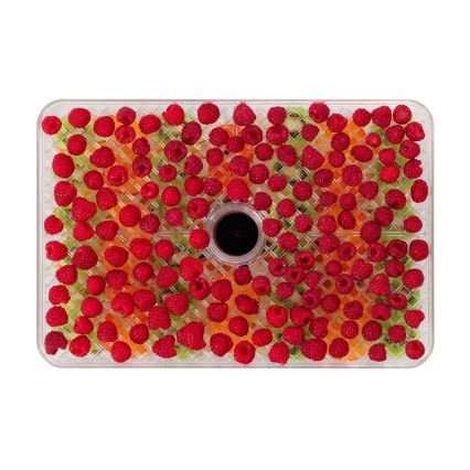 Concept SO2042 - Élelmiszert szárító 500W/230V fekete + szilikon forma