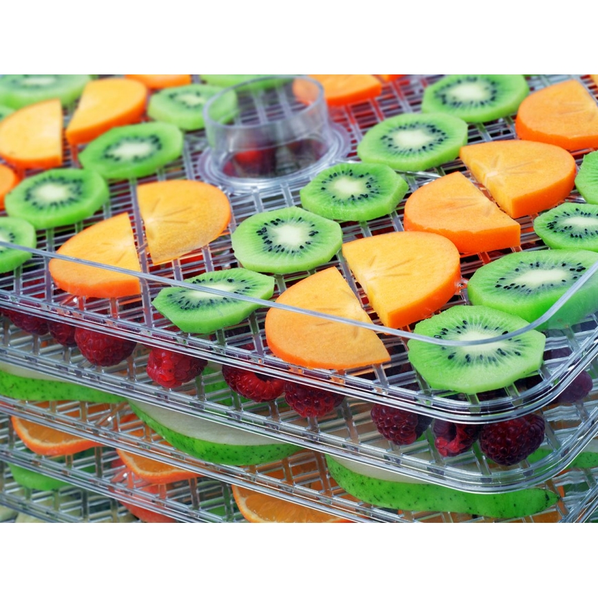 Concept SO2042 - Élelmiszert szárító 500W/230V fekete + szilikon forma