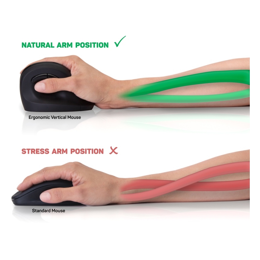 CONNECT IT CMO-2700-BK - Ergonomikus vezeték nélküli egér 800/1200/1600 DPI 1xAA fekete