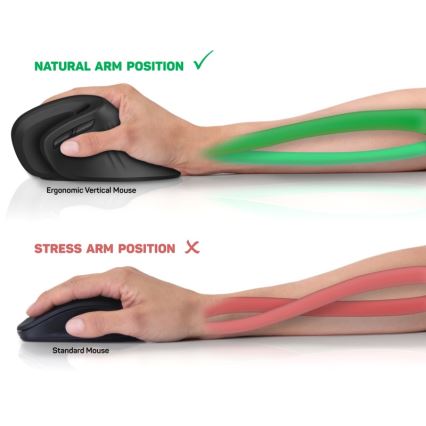 CONNECT IT CMO-2900-BK - Ergonomikus vezeték nélküli egér 800/1200/1600 DPI 1xAA fekete