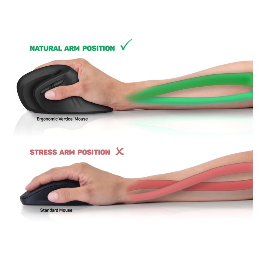 CONNECT IT CMO-2900-BK - Ergonomikus vezeték nélküli egér 800/1200/1600 DPI 1xAA fekete
