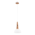 Csillár zsinóron ATOL 1xE27/60W/230V