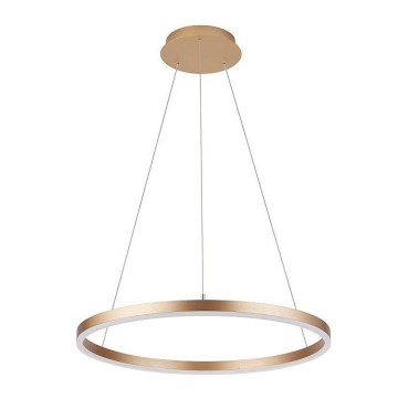 Csillár zsinóron DONA LED/32W/230V á. 40 cm