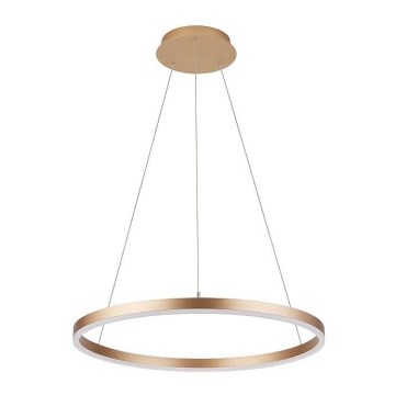 Csillár zsinóron DONA LED/42W/230V á. 60 cm