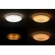 Dalen DL-C205TX - LED Szabályozható mennyezeti lámpa SMART 1xLED/25W