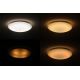 Dalen DL-C415TXW - LED mennyezeti lámpa STAR SKY LED/38W/230V
