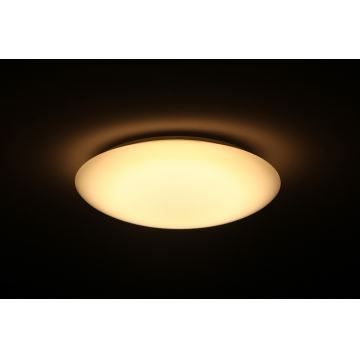 DALEN DL-C515TXW - LED Szabályozható mennyezeti lámpa SMART 1xLED/56W/230V