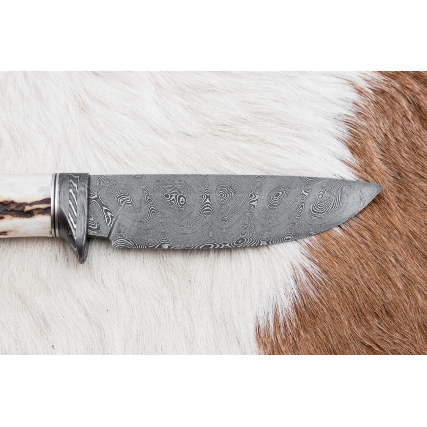 Damaszkuszi vadászkés 11,8 cm dió/szarvas agancs