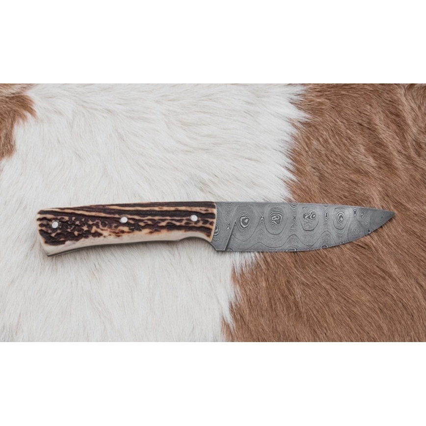 Damaszkuszi vadászkés 11 cm szarvas agancs