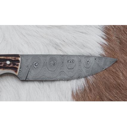 Damaszkuszi vadászkés 11 cm szarvas agancs
