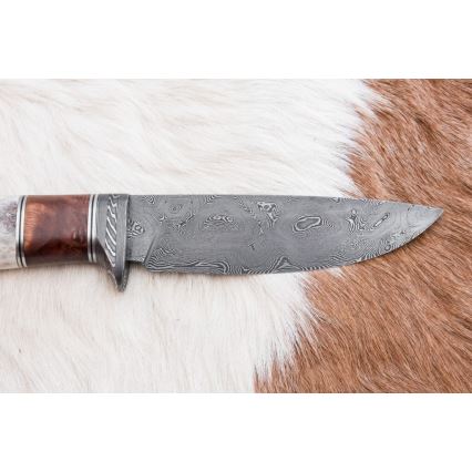 Damaszkuszi vadászkés 12 cm kőris/szarvas agancs