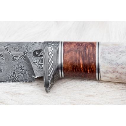 Damaszkuszi vadászkés 12 cm kőris/szarvas agancs