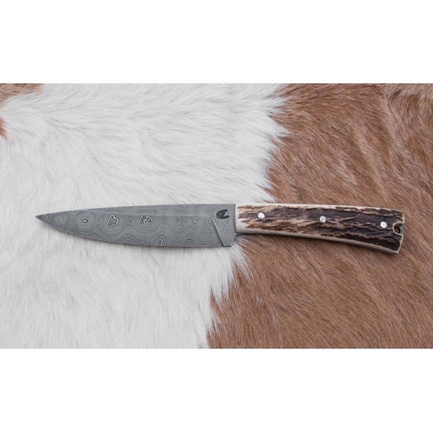 Damaszkuszi vadászkés mini fűrésszel 12 cm szarvas agancs