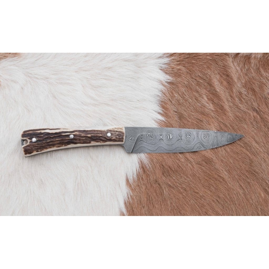 Damaszkuszi vadászkés mini fűrésszel 12 cm szarvas agancs