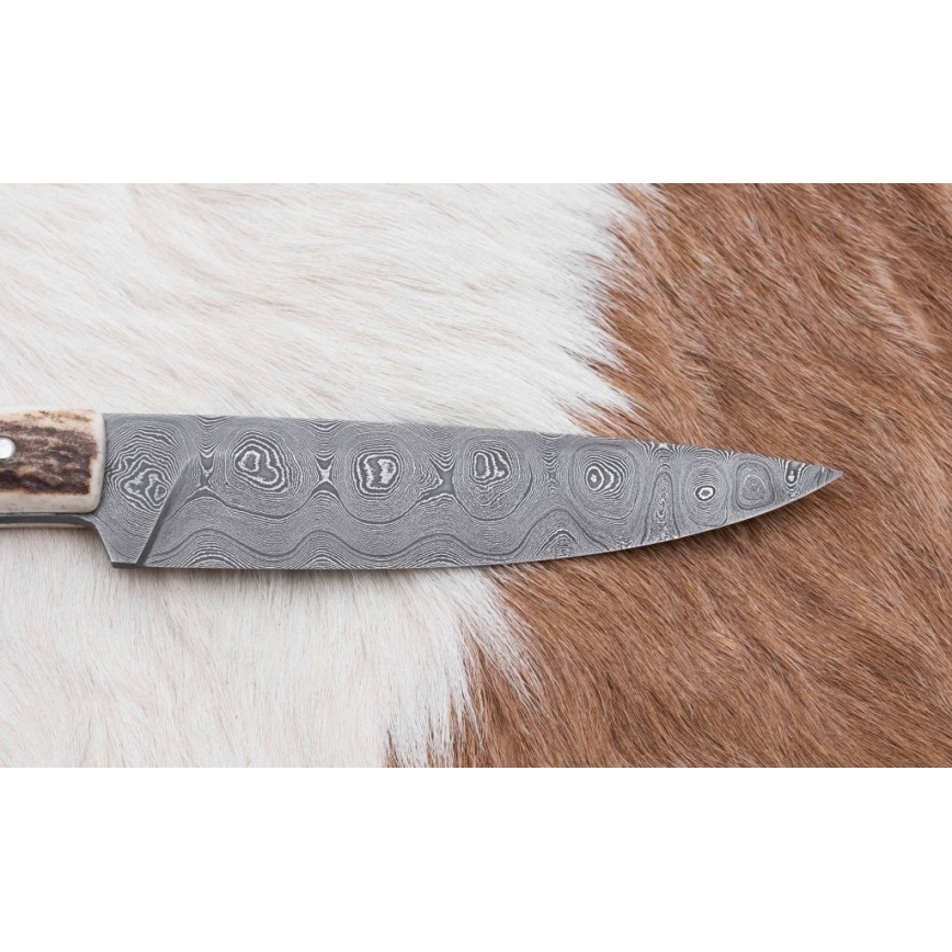 Damaszkuszi vadászkés mini fűrésszel 12 cm szarvas agancs