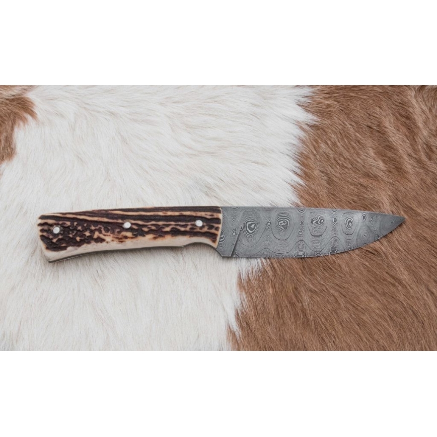 Damaszkuszi vadászkés minifűrésszel 11 cm szarvas agancs