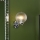 Där Lighting WAY0750 - WAYNE fürdőszobai fali lámpa 1xG9/3W/230V IP44 fényes króm