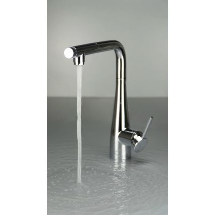 Deante BRE_075M - Mosogató csaptelep kihúzható zuhanyfejjel ERIDAN fényes króm