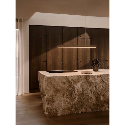 DFTP by Nordlux - AKENO LED, fényerőszabályozható kábeles függőlámpa LED/25W/230V 3000K kőris