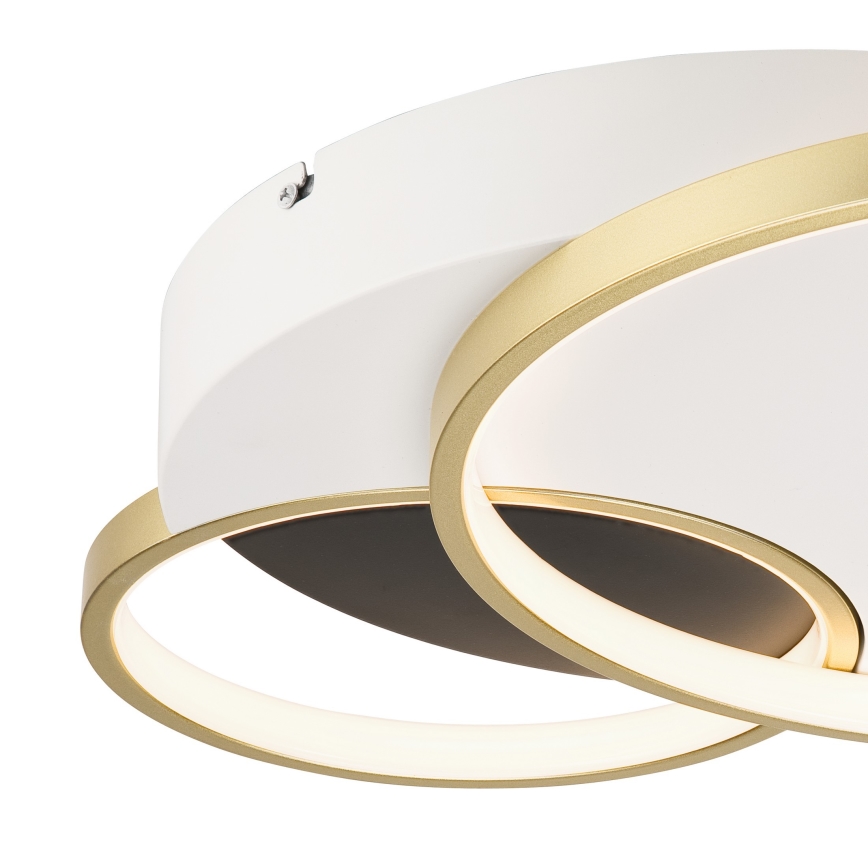 Dimmelhető mennyezeti lámpa BENITO LED/31W/230V 3000-6500K fehér/arany