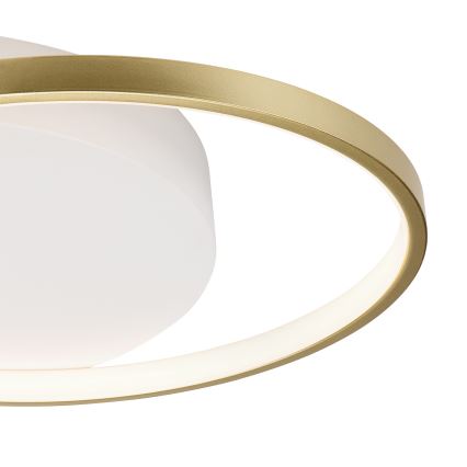 Dimmelhető mennyezeti lámpa BENITO LED/31W/230V 3000-6500K fehér/arany