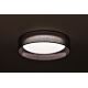 Duolla - LED Mennyezeti lámpa ROLLER LED/24W/230V antracit