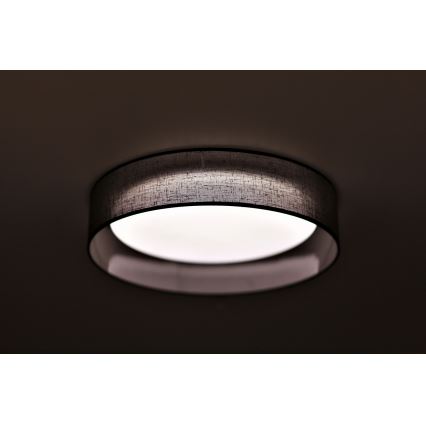 Duolla - LED Mennyezeti lámpa ROLLER LED/24W/230V átm. 45 cm antracit