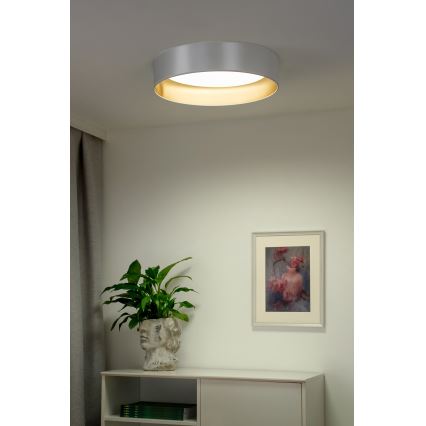 Duolla - LED Mennyezeti lámpa ROLLER LED/24W/230V átm. 45 cm ezüst/arany