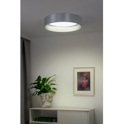 Duolla - LED Mennyezeti lámpa ROLLER LED/24W/230V átm. 45 cm ezüst