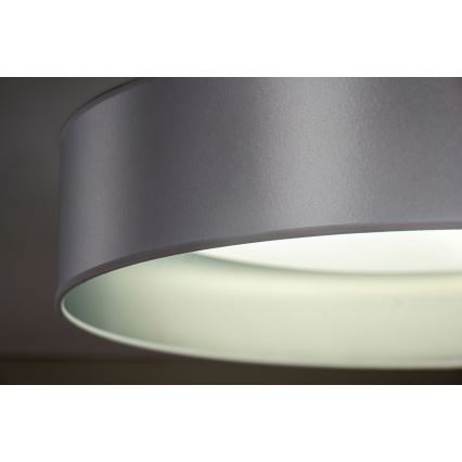 Duolla - LED Mennyezeti lámpa ROLLER LED/24W/230V átm. 45 cm ezüst