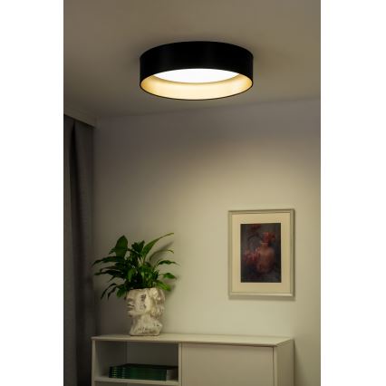 Duolla - LED Mennyezeti lámpa ROLLER LED/24W/230V átm. 45 cm fekete/arany
