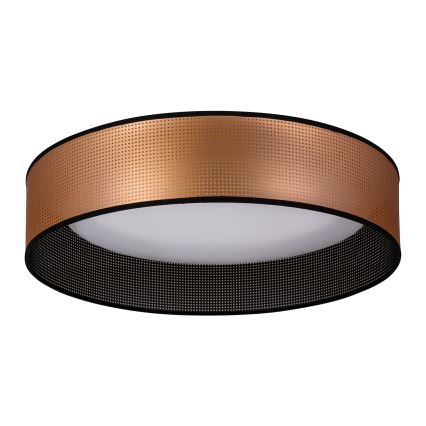 Duolla - LED Mennyezeti lámpa ROLLER LED/24W/230V átm. 45 cm réz/fekete