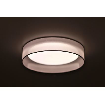 Duolla - LED Mennyezeti lámpa ROLLER LED/24W/230V átm. 45 cm világos szürke