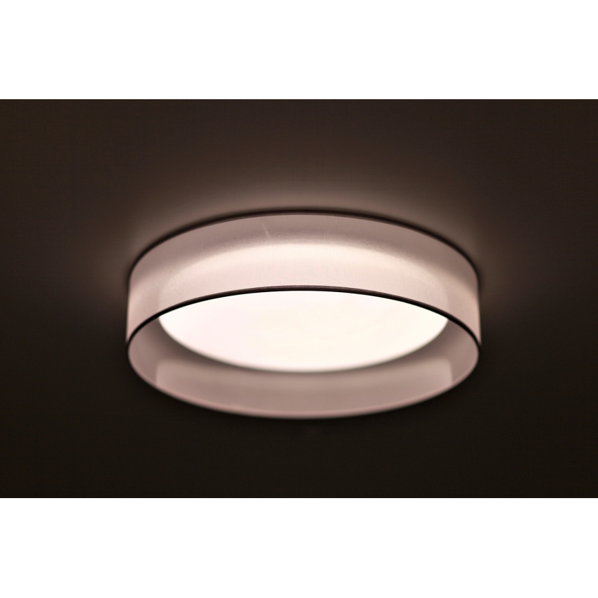 Duolla - LED Mennyezeti lámpa ROLLER LED/24W/230V átm. 45 cm világos szürke