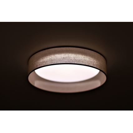 Duolla - LED Mennyezeti lámpa ROLLER LED/24W/230V átm. 45 cm világos szürke