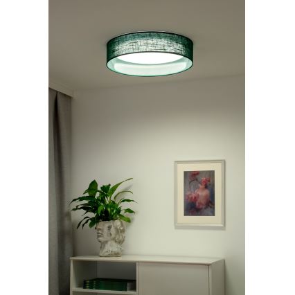 Duolla - LED Mennyezeti lámpa ROLLER LED/24W/230V átm. 45 cm zöld