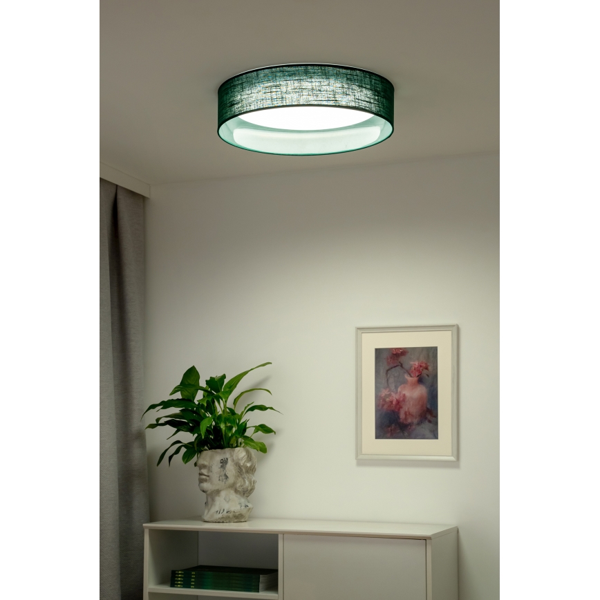 Duolla - LED Mennyezeti lámpa ROLLER LED/24W/230V átm. 45 cm zöld