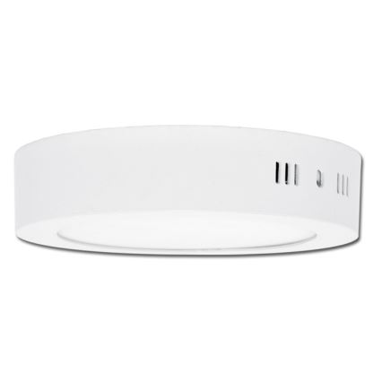 LED Mennyezeti lámpa LADA LED/25W/230V 3000/4000/6000K átm. 30 cm fehér